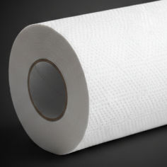 2-Ply 80M Couch Roll 2
