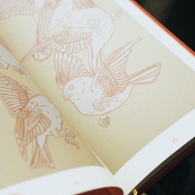 Libro Birds and Flowers de Daniels Bauti